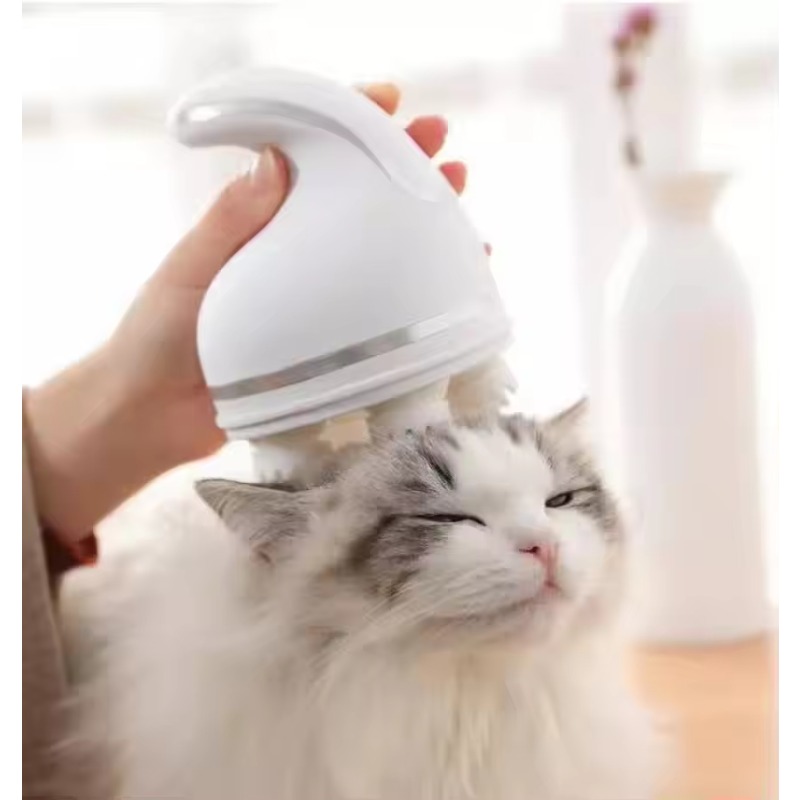Inteligentny automatyczny sili – Hair Scalp Massager recenzja i cena