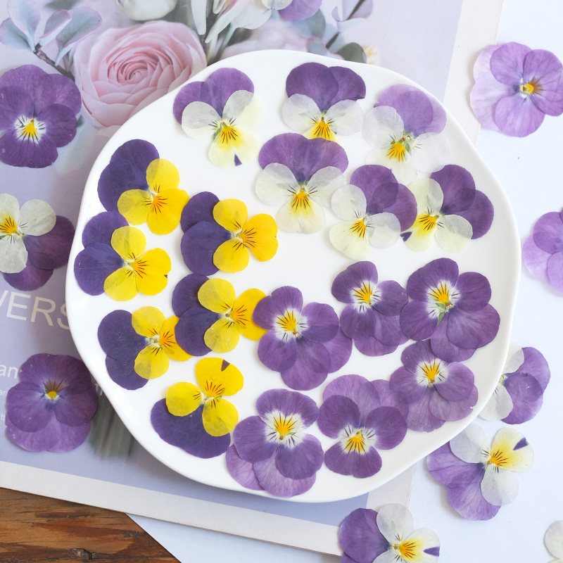 12 szt., naturalne suszone kwi – Beauty Makeup Bridal recenzja i cena