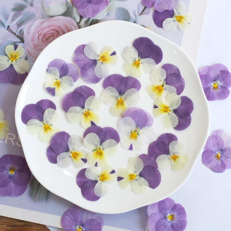 12 szt., naturalne suszone kwi – Beauty Makeup Bridal recenzja i cena